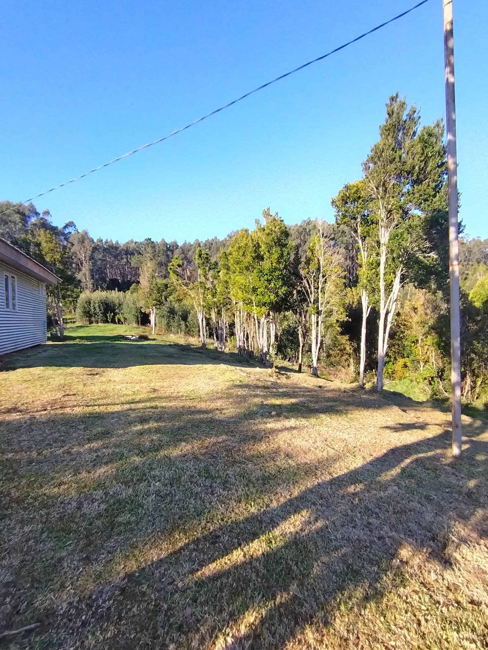 Casa en venta en Valdivia — foto 7