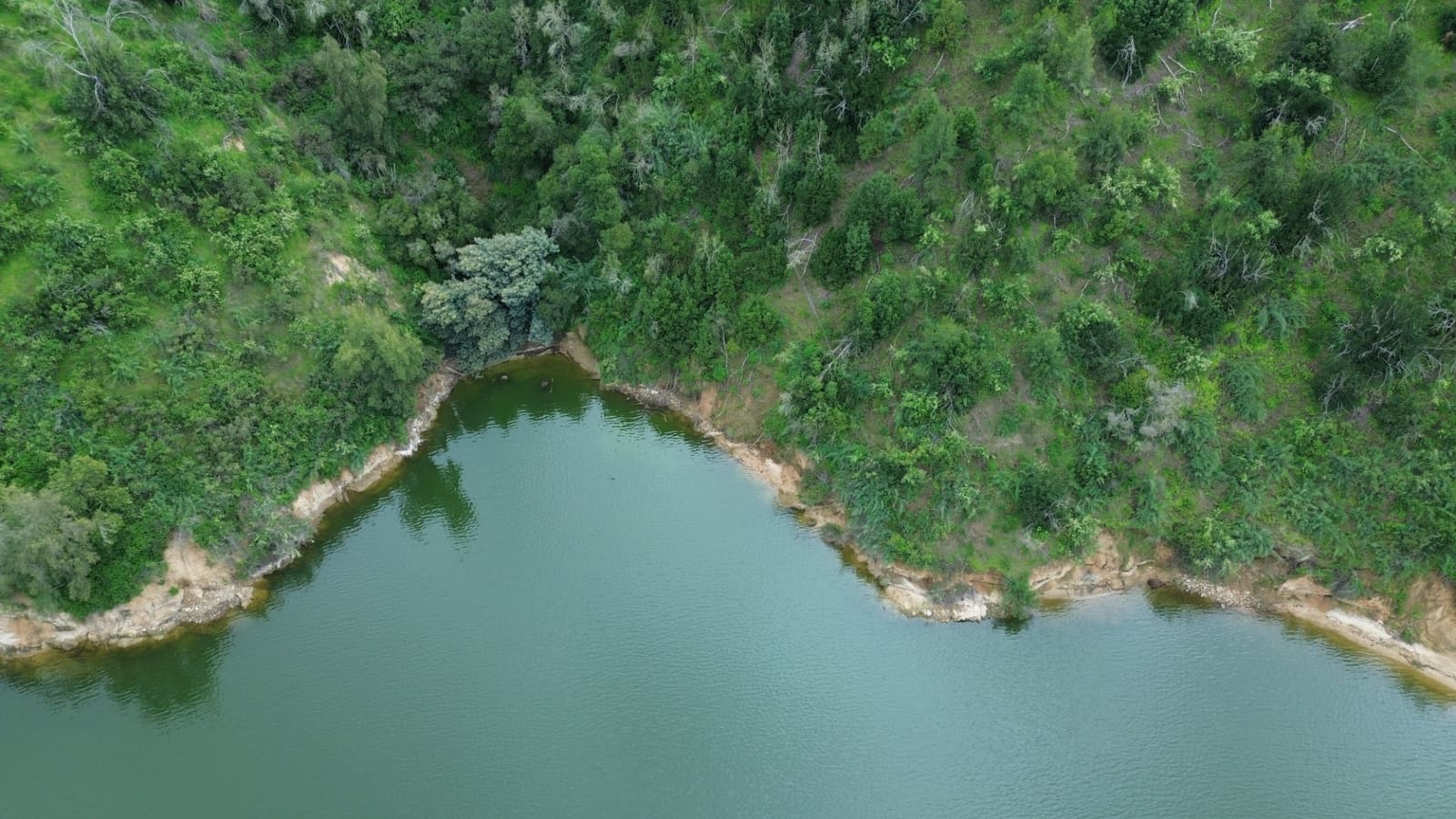 Terreno en venta en Litueche — foto 7