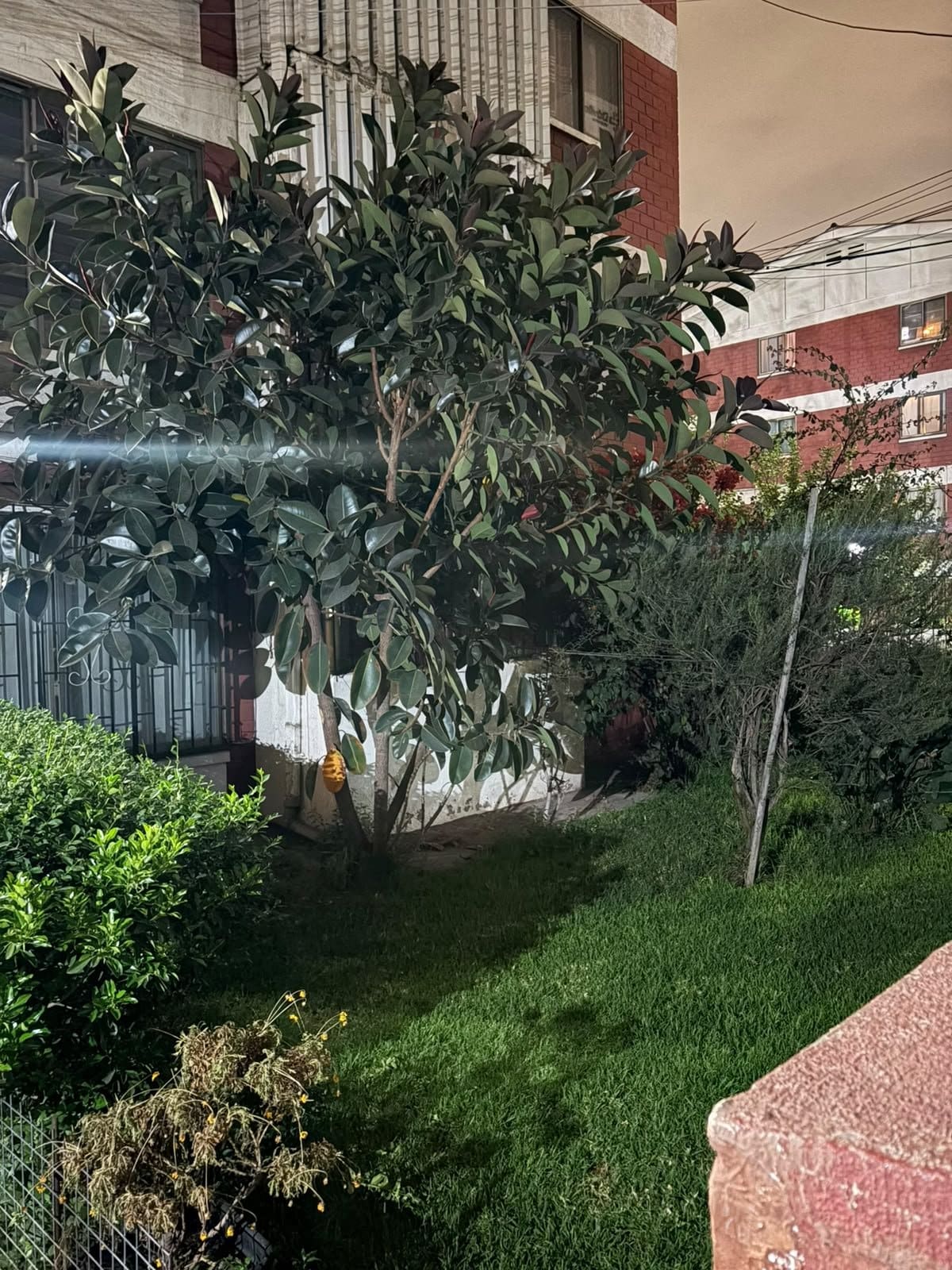 Departamento en arriendo en La Florida — foto 8