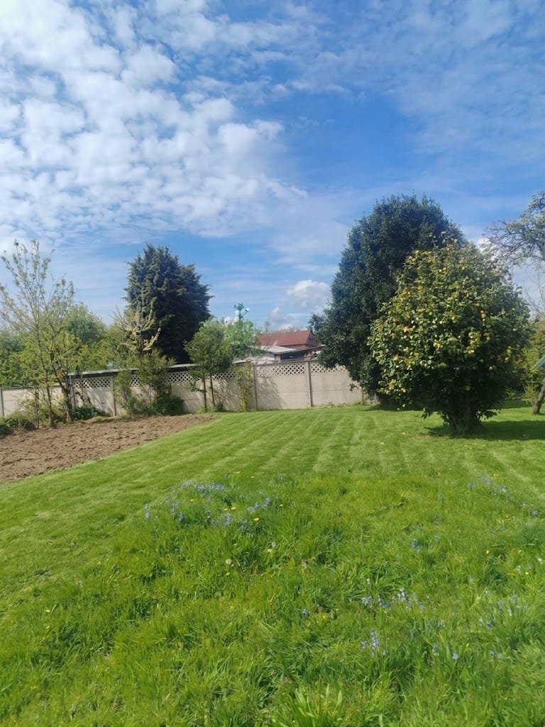 Casa en venta en Purranque — foto 2
