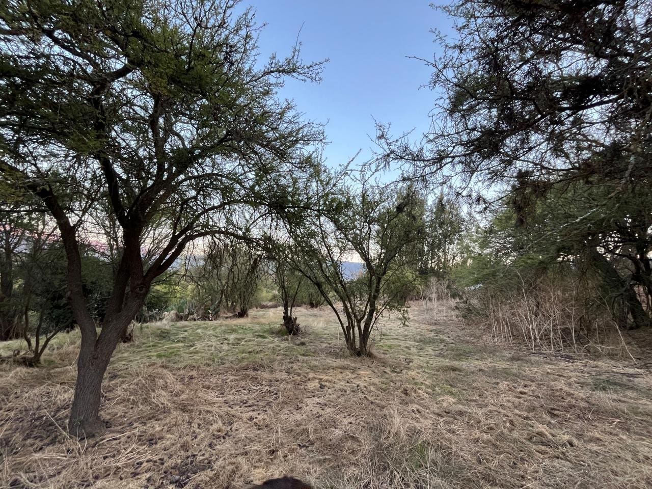 Terreno en venta en Melipilla — foto 6