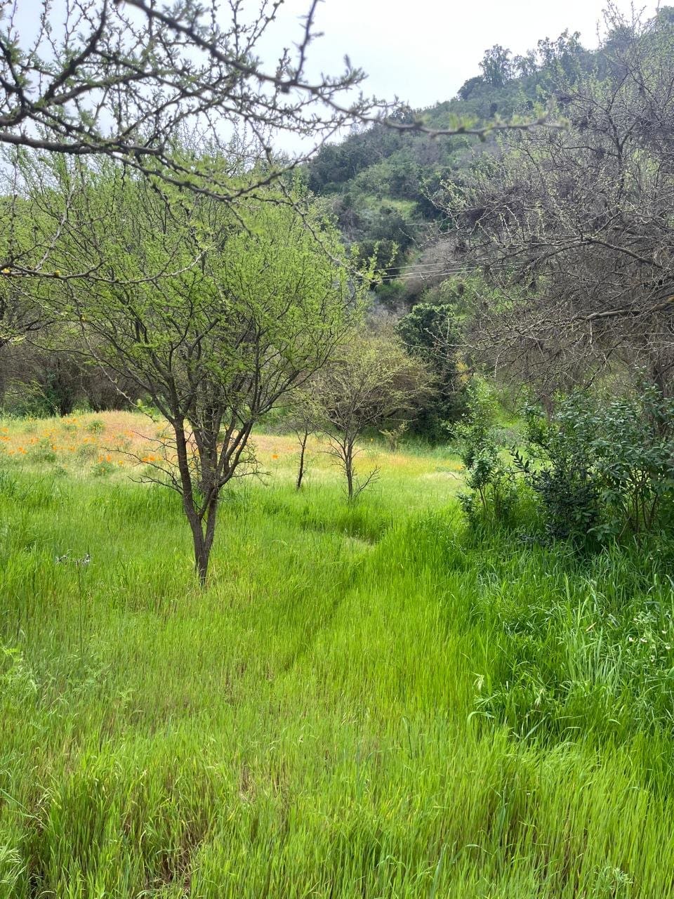 Terreno en venta en Melipilla — foto 6