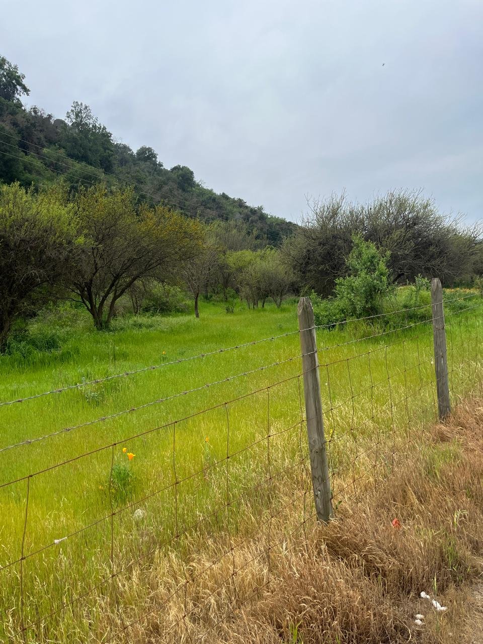 Terreno en venta en Melipilla — foto 8