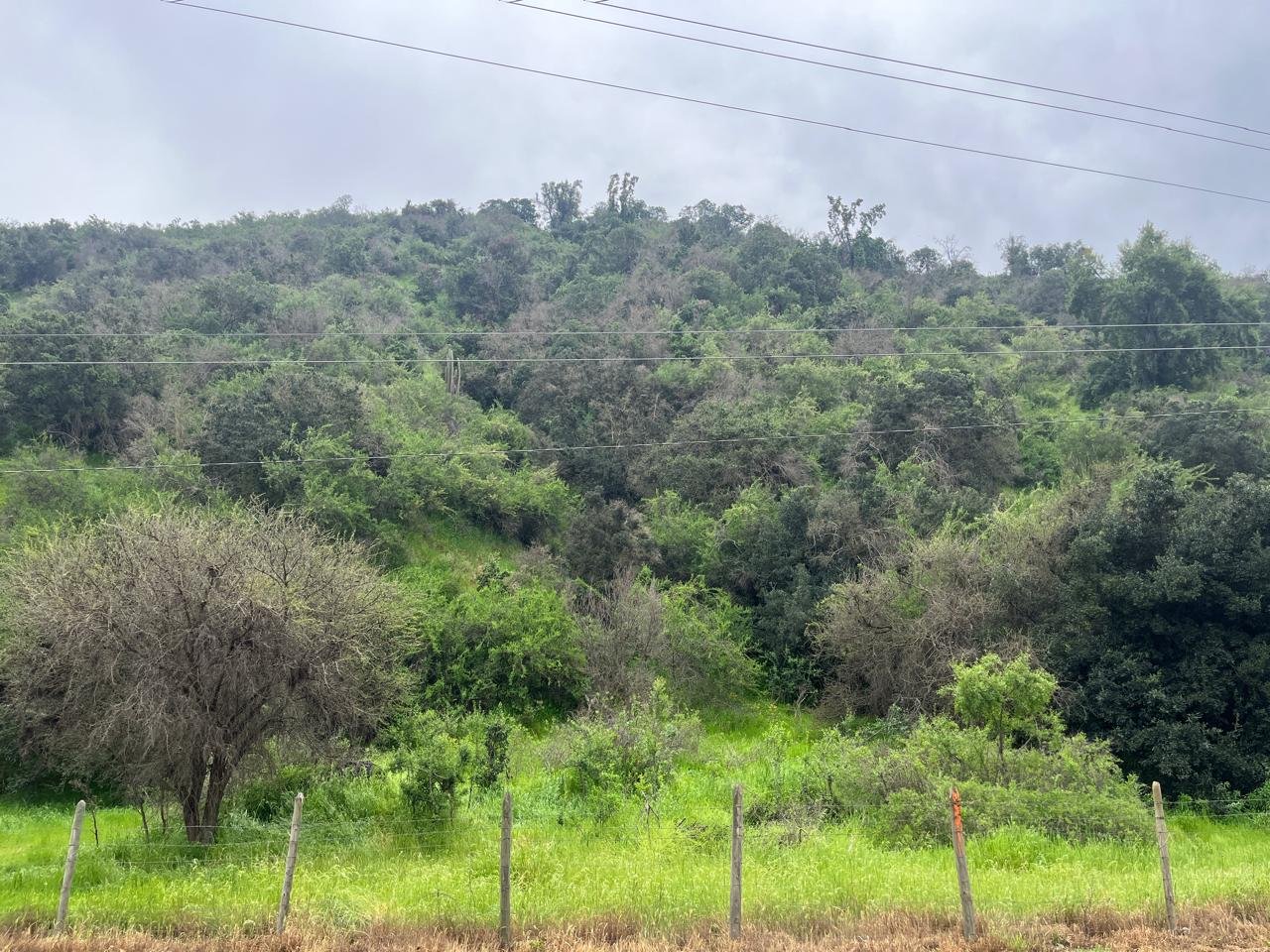 Terreno en venta en Melipilla — foto 2