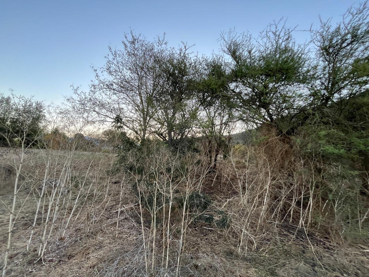 Terreno en venta en Melipilla — foto 8