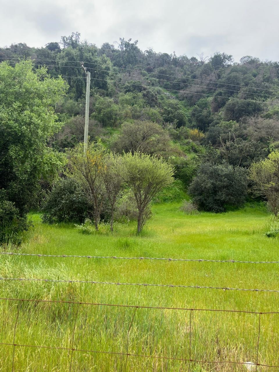 Terreno en venta en Melipilla — foto 1