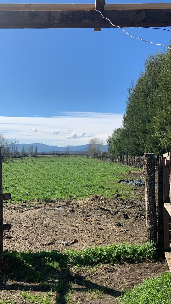 Parcela en venta en Longavi — foto 4