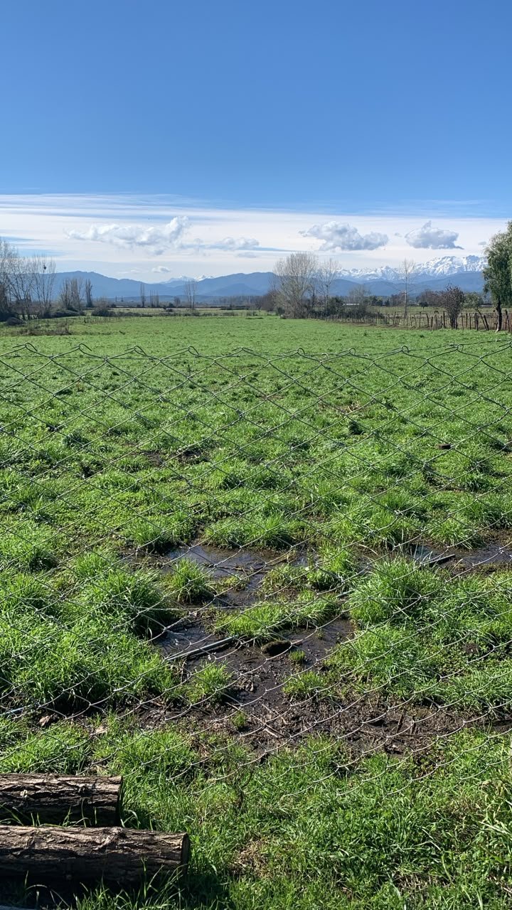 Parcela en venta en Longavi — foto 5