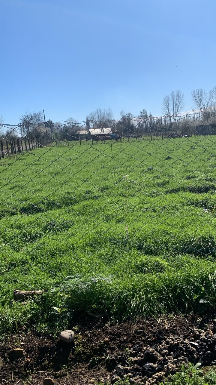 Parcela en venta en Longavi — foto 3