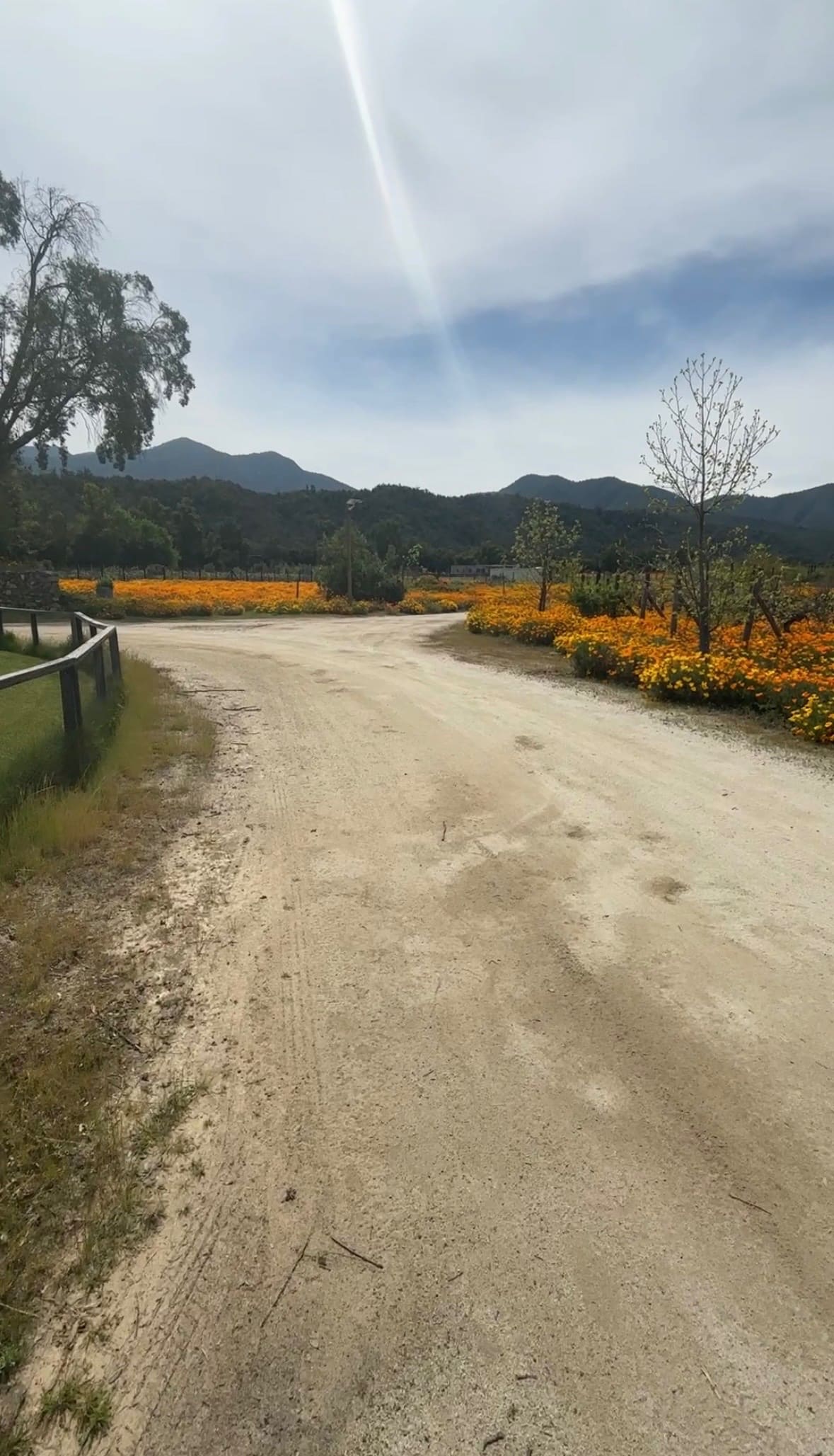 Terreno en venta en Casa blanca — foto 2