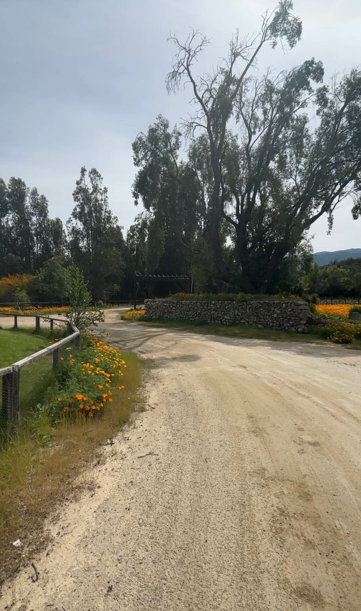 Terreno en venta en Casa blanca — foto 3