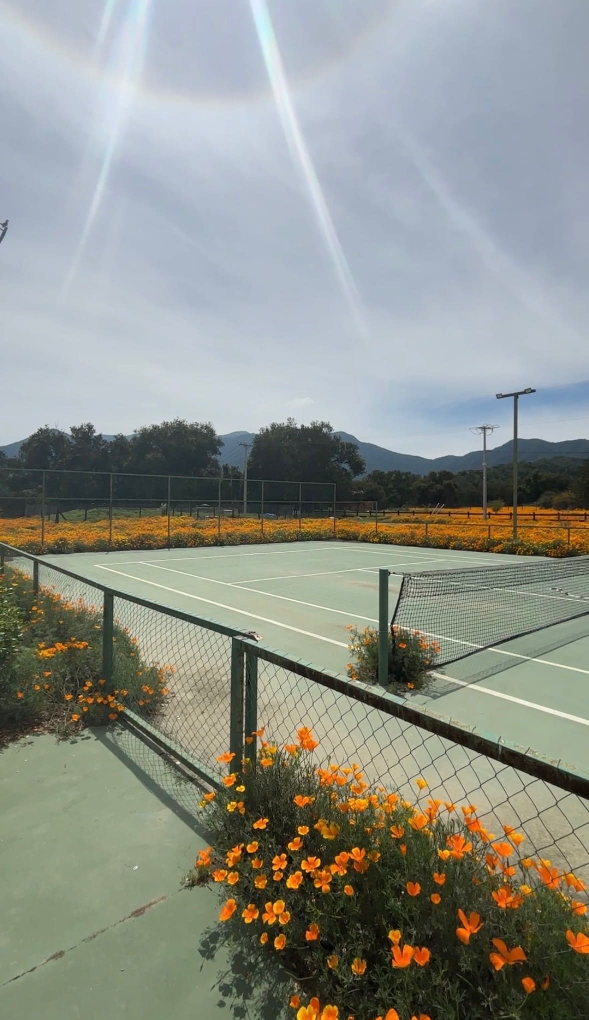 Terreno en venta en Casa blanca — foto 5