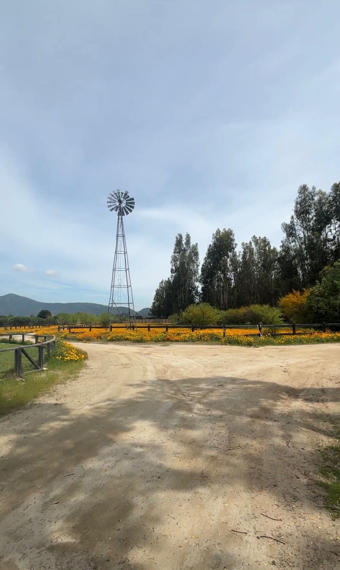 Terreno en venta en Casa blanca — foto 6
