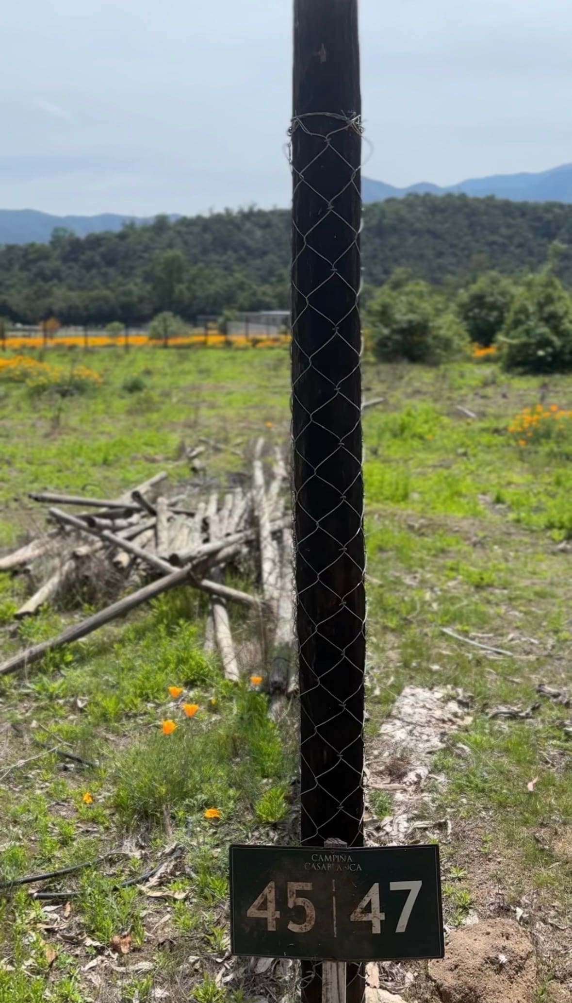 Terreno en venta en Casa blanca — foto 8