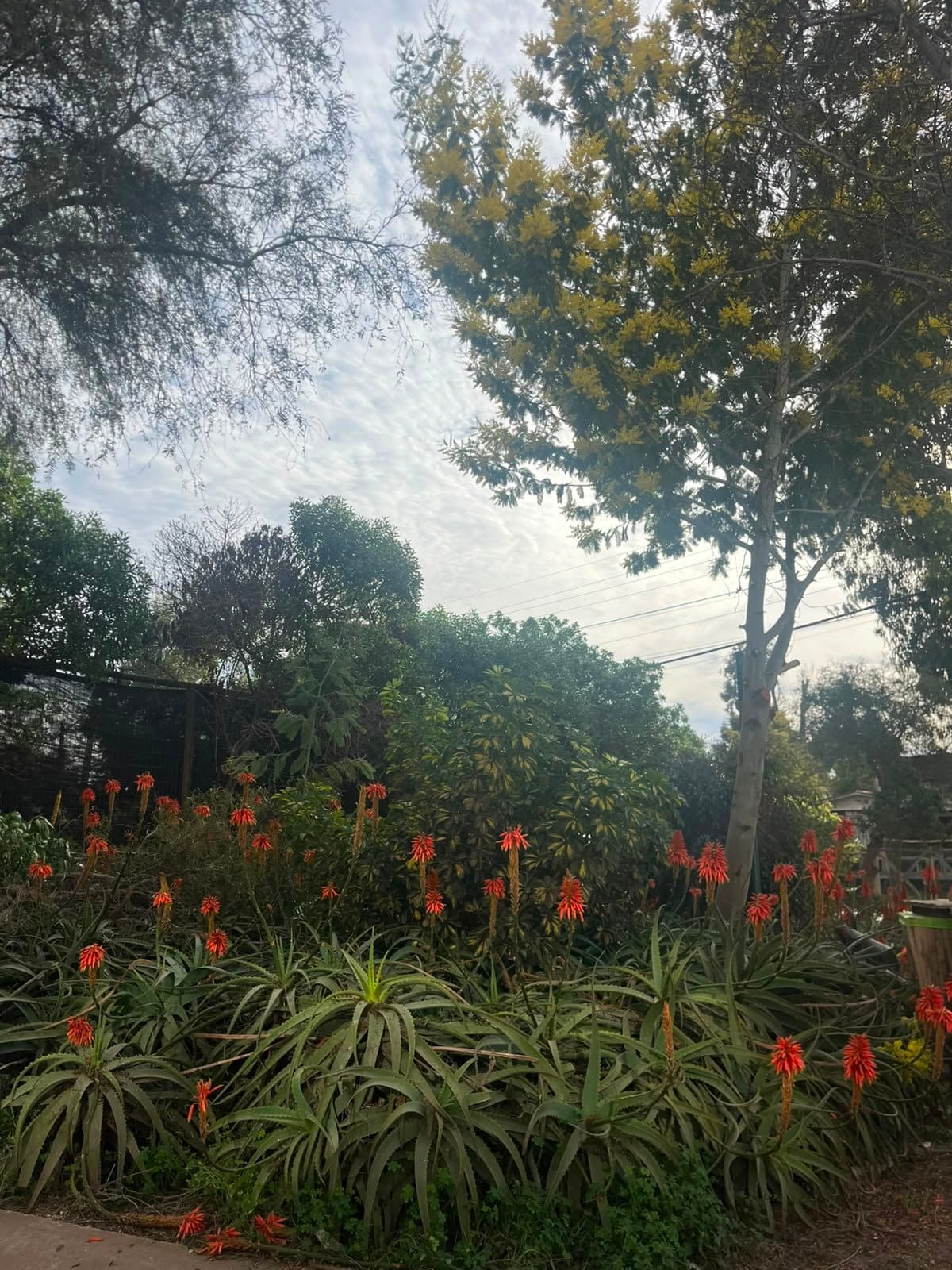 Departamento en venta en Concón — foto 4