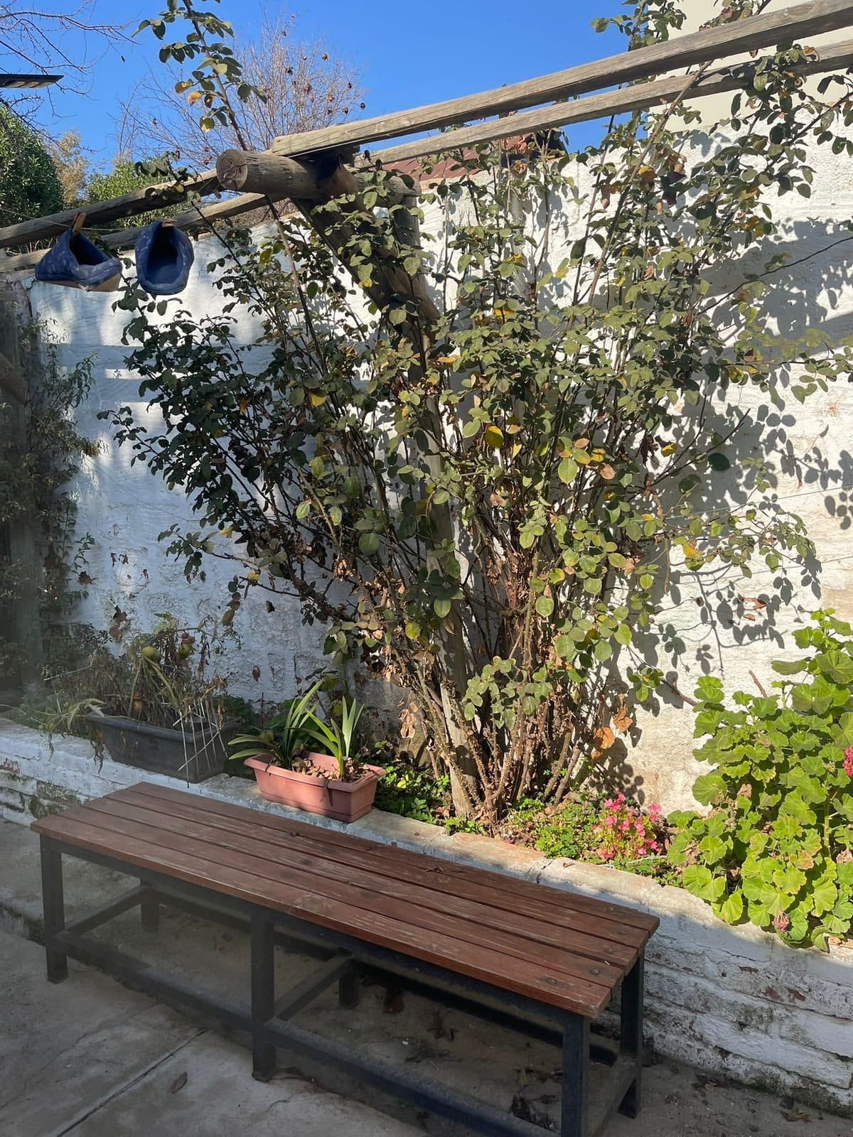 Casa en venta en Villa Alemana — foto 6