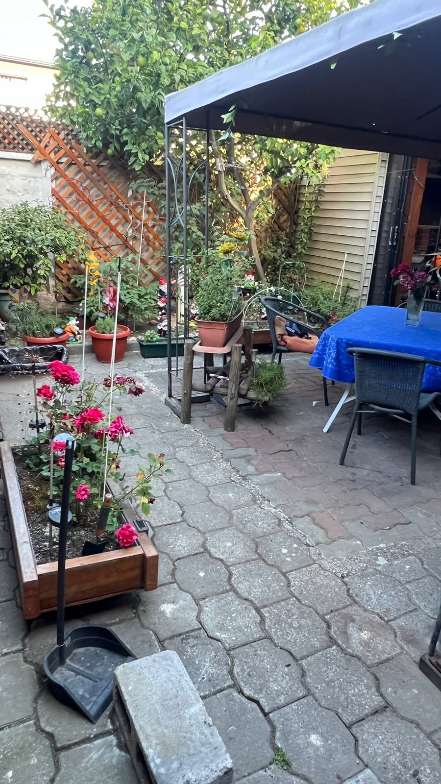 Casa en venta en San pedro de la paz — foto 10