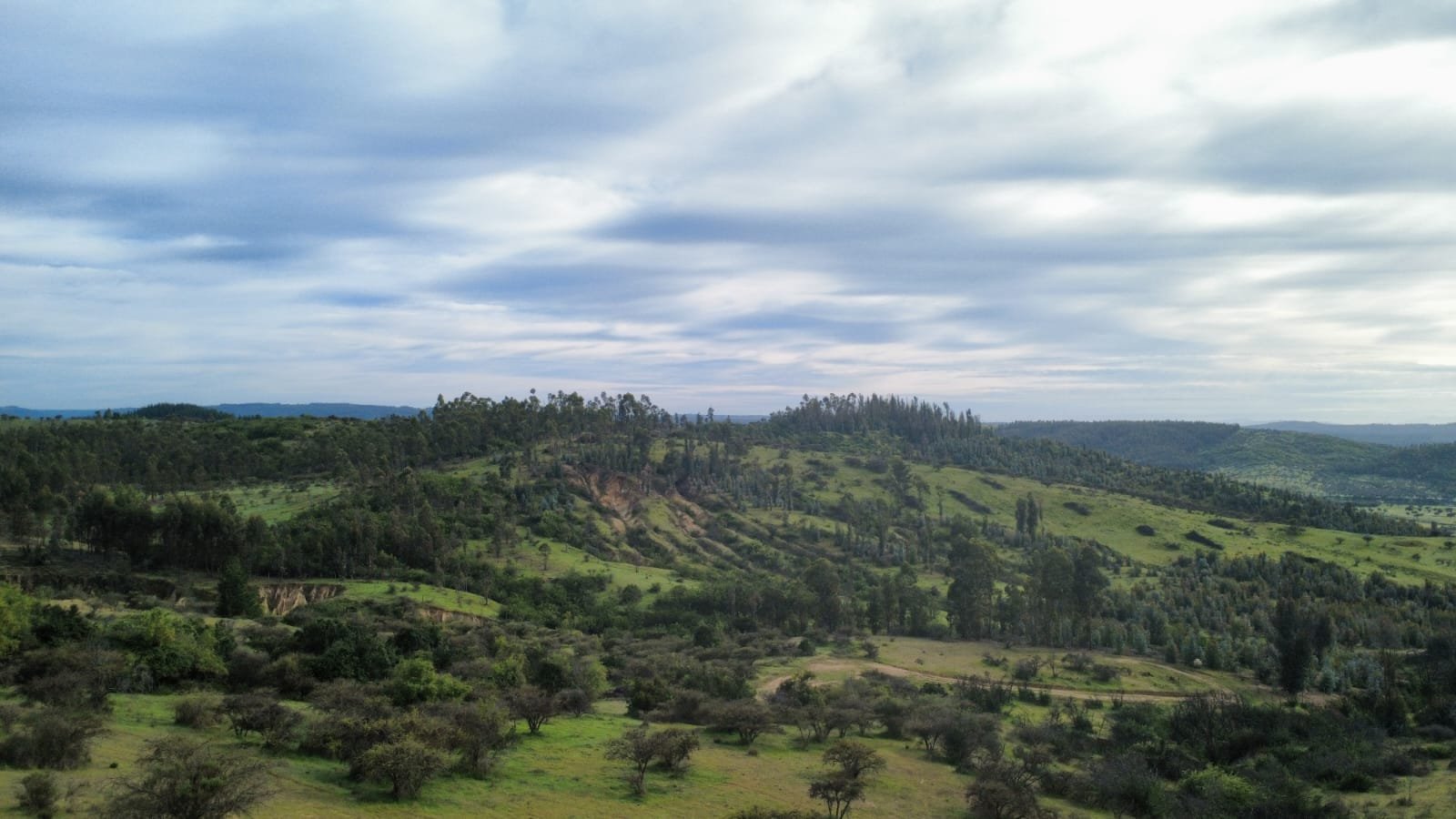 Parcela en venta en Marchihue — foto 5