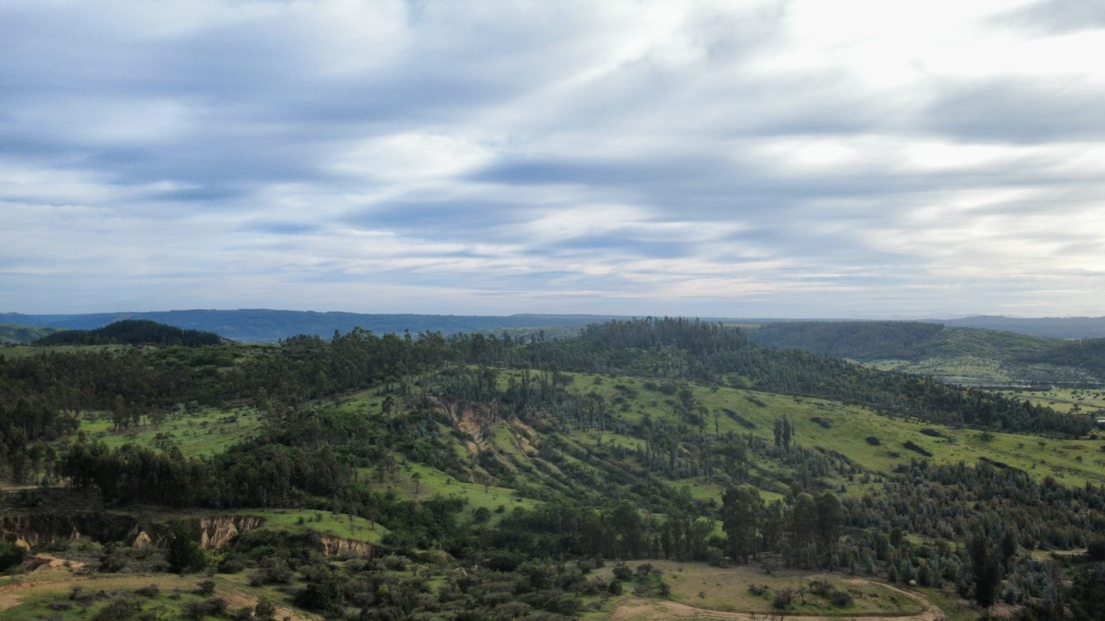 Parcela en venta en Marchihue — foto 4