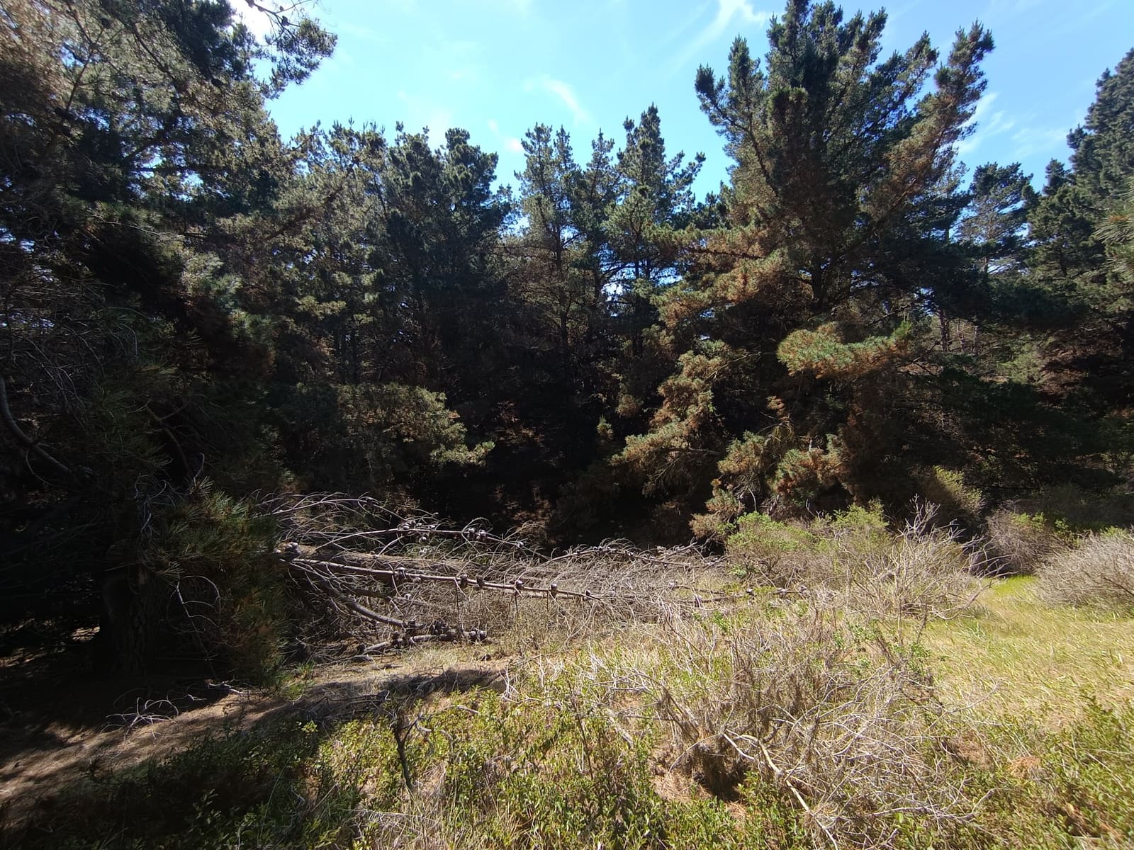 Terreno en venta en Laguna Verde — foto 8