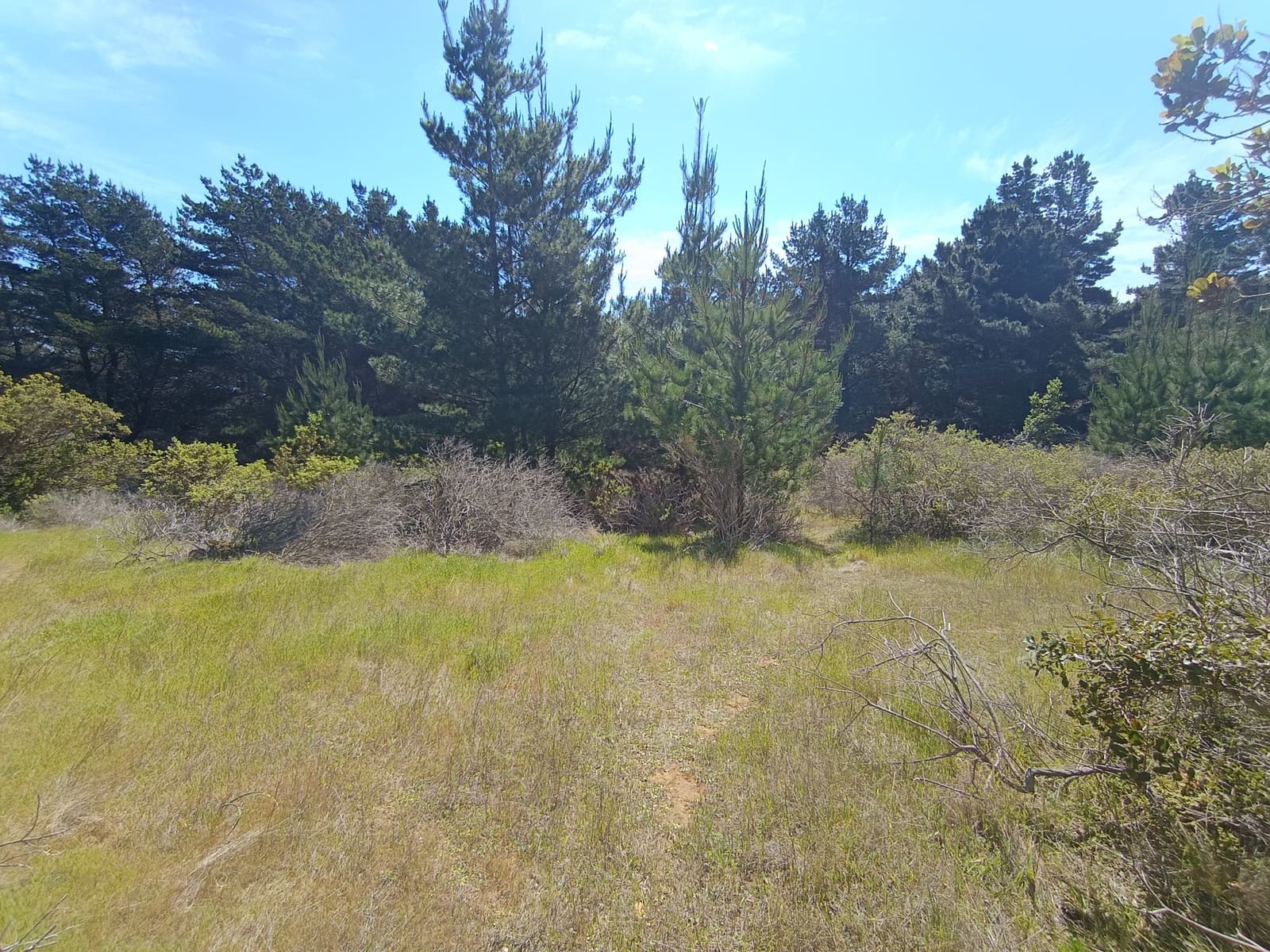 Terreno en venta en Laguna Verde — foto 1