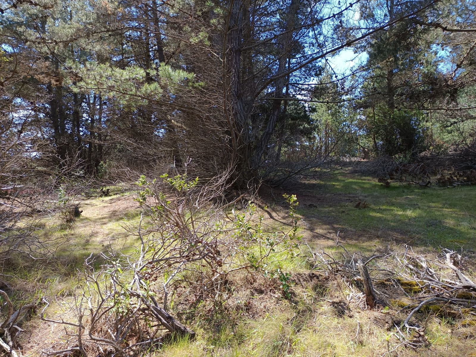 Terreno en venta en Laguna Verde — foto 6