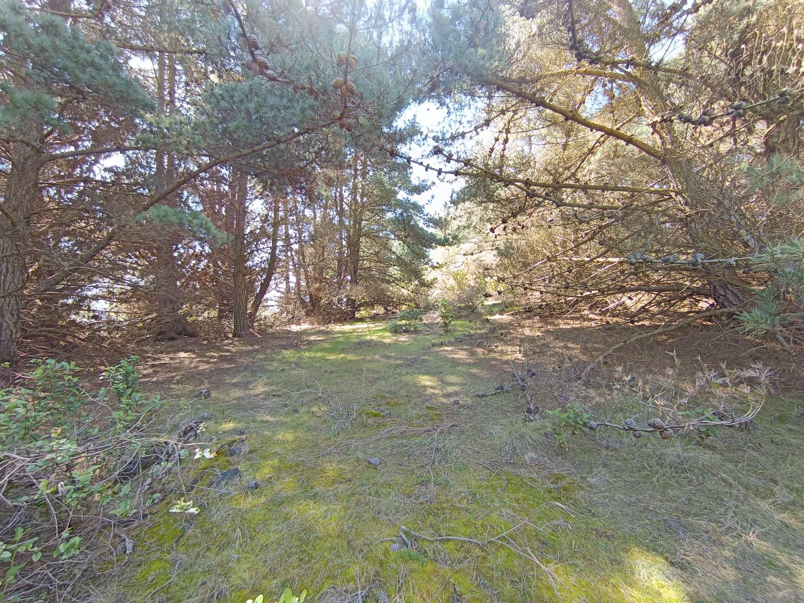 Terreno en venta en Laguna Verde — foto 7