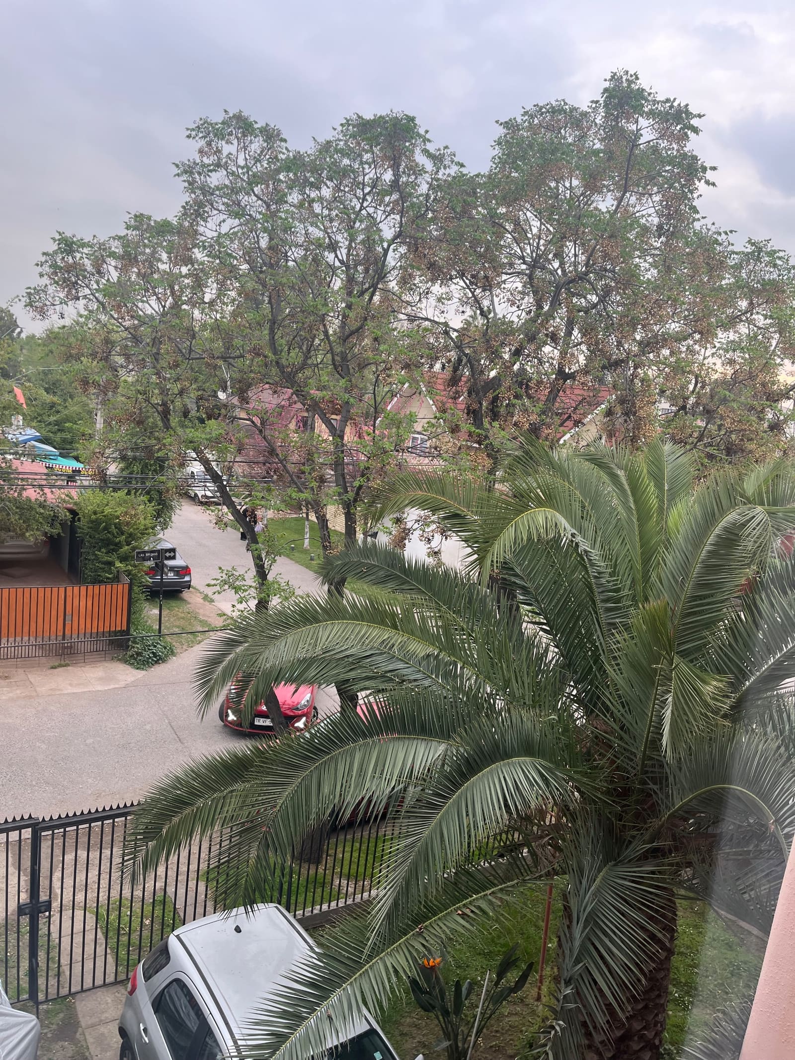 Departamento en arriendo en Ñuñoa — foto 3