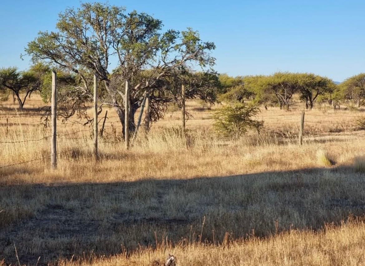 Parcela en venta en Cauquenes — foto 3