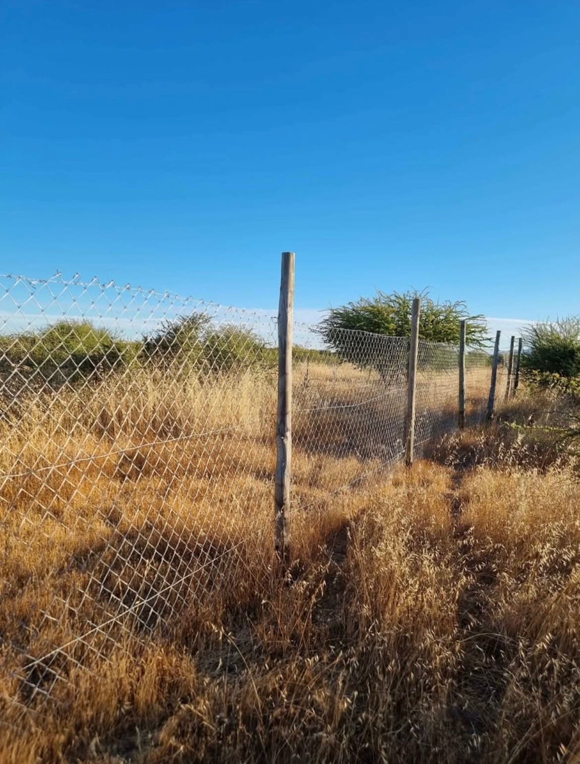 Parcela en venta en Cauquenes — foto 4
