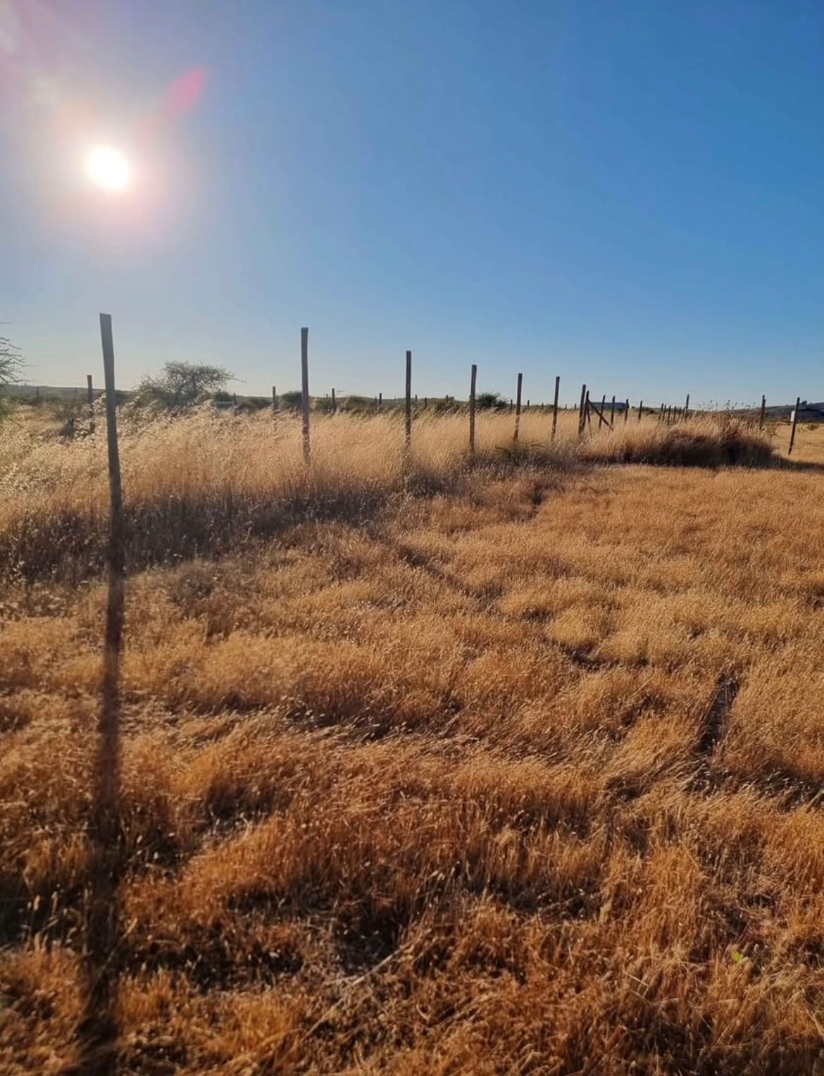 Parcela en venta en Cauquenes — foto 5
