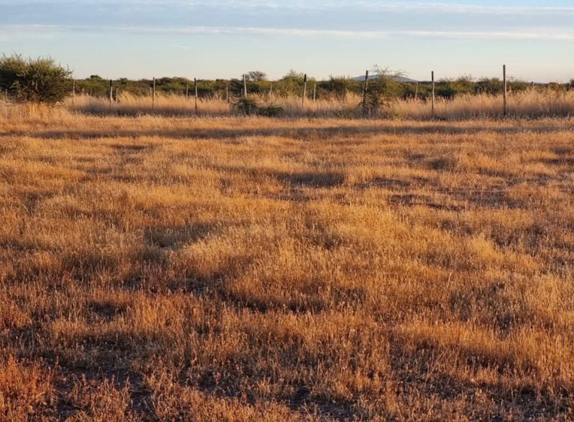 Parcela en venta en Cauquenes — foto 1