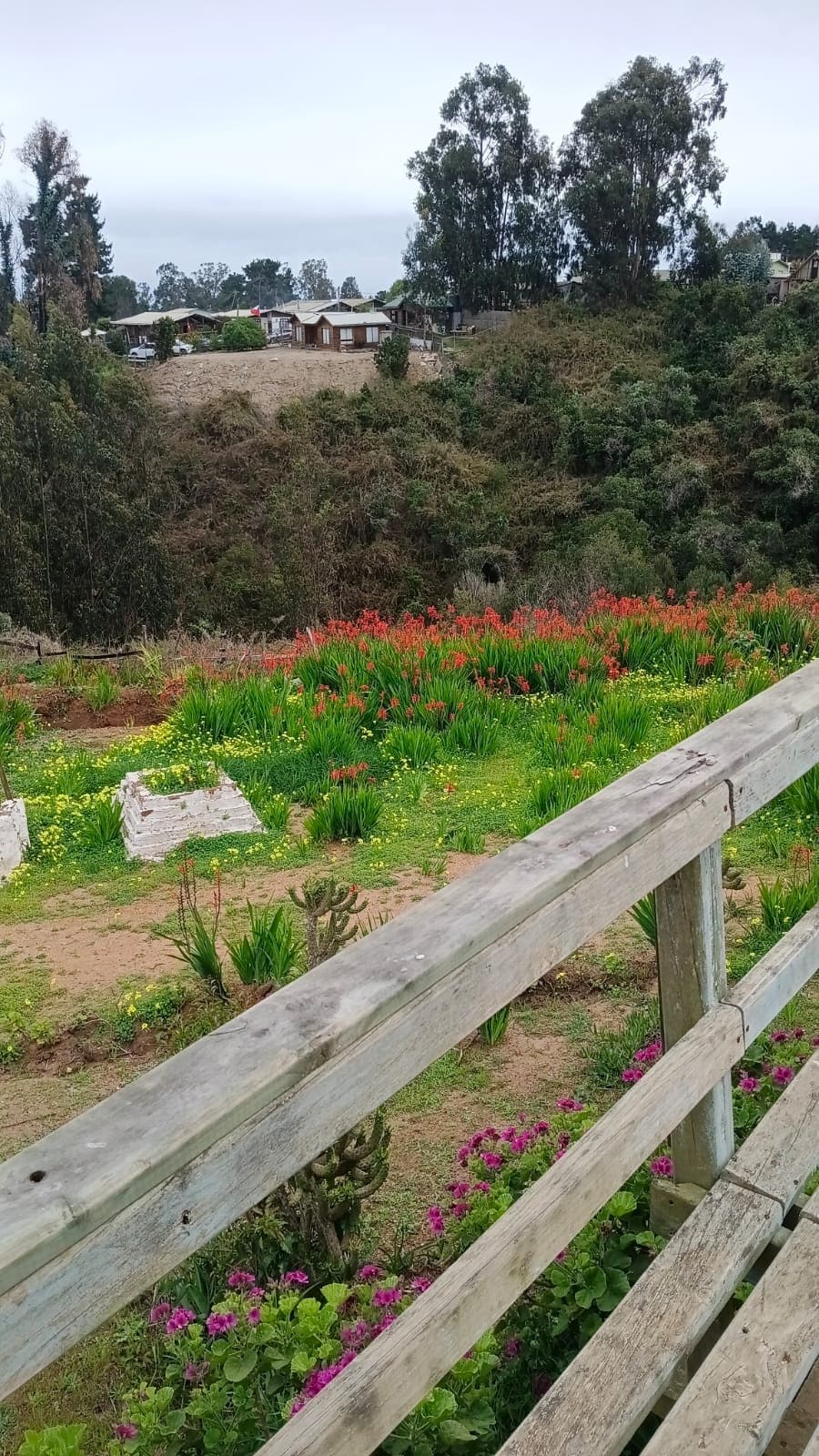 Parcela en venta en El Tabo — foto 8