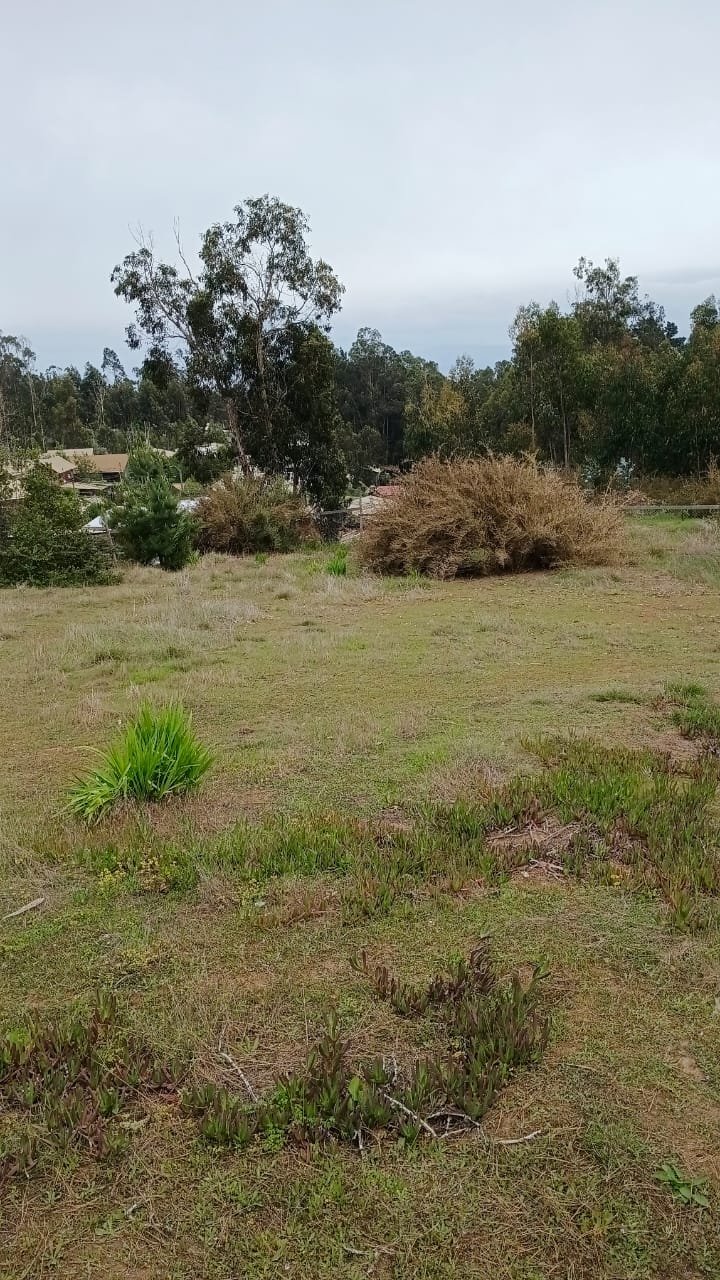 Parcela en venta en El Tabo — foto 5