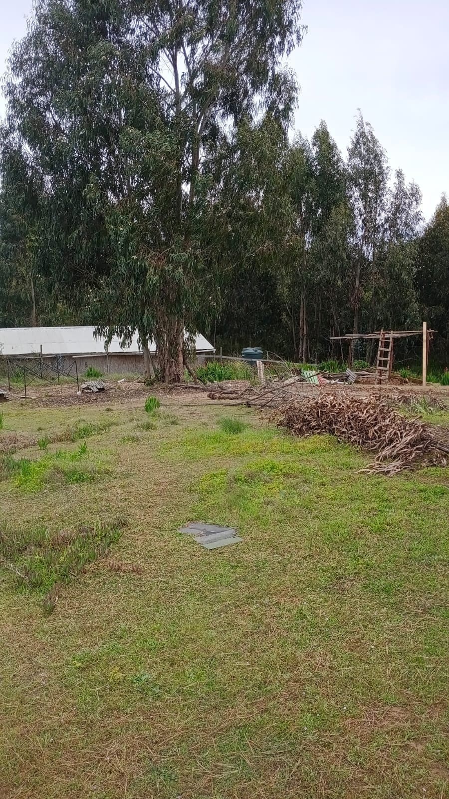 Parcela en venta en El Tabo — foto 4