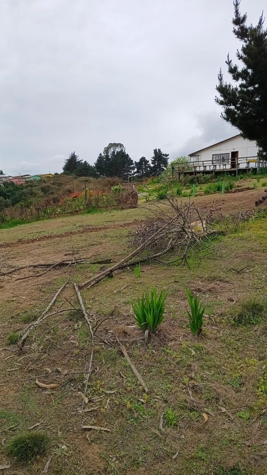 Parcela en venta en El Tabo — foto 6