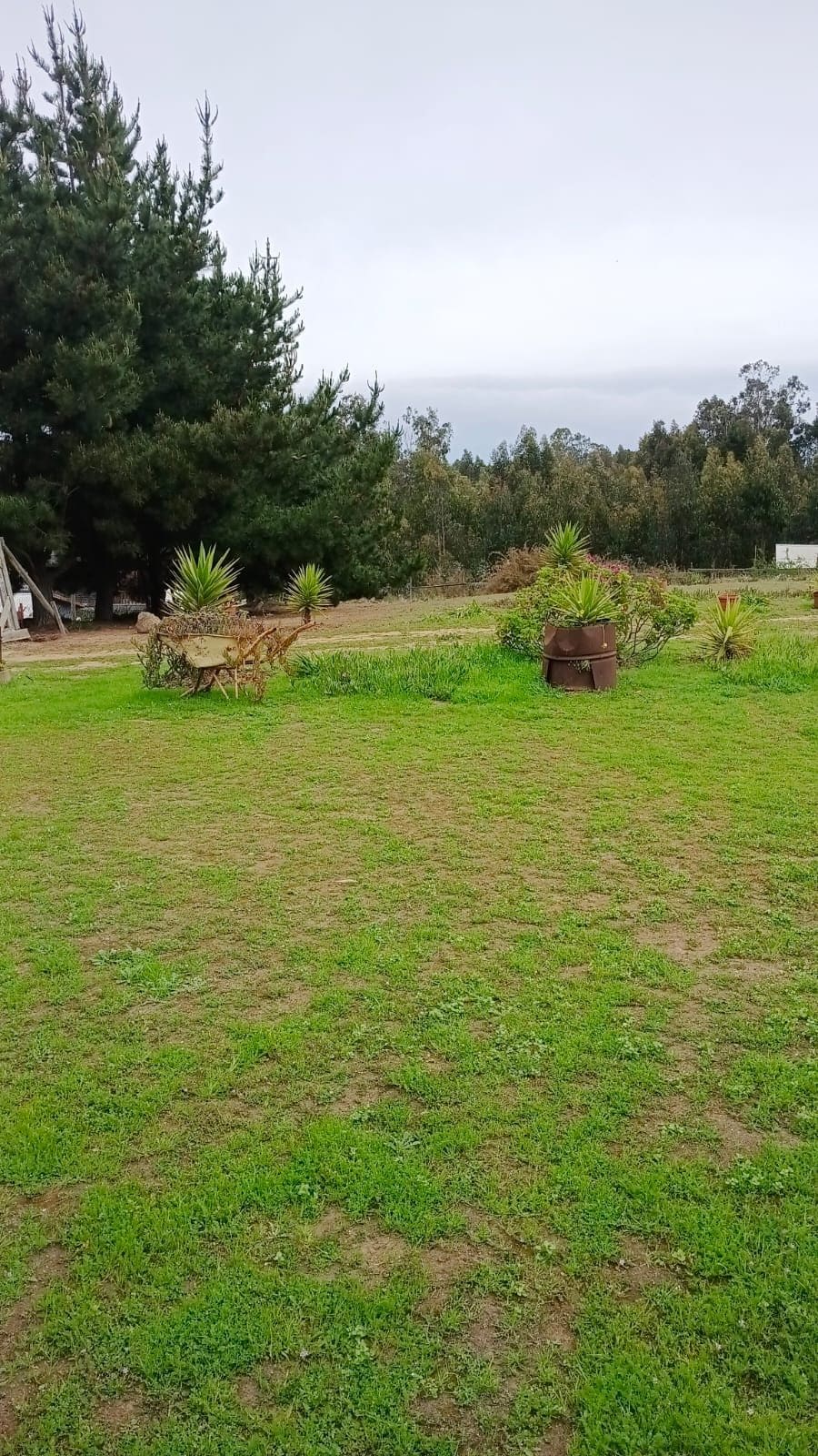 Parcela en venta en El Tabo — foto 2