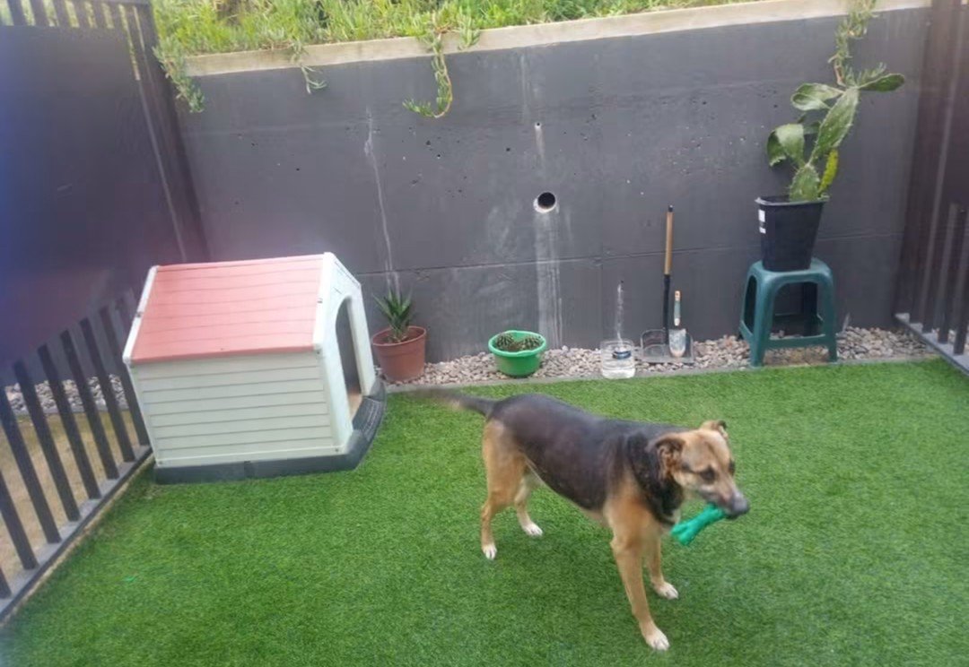 Departamento en venta en Villa Alemana — foto 8
