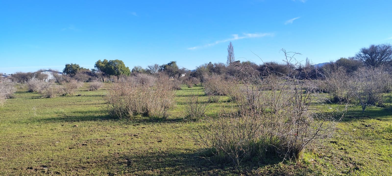 Parcela en venta en San Nicolás — foto 5