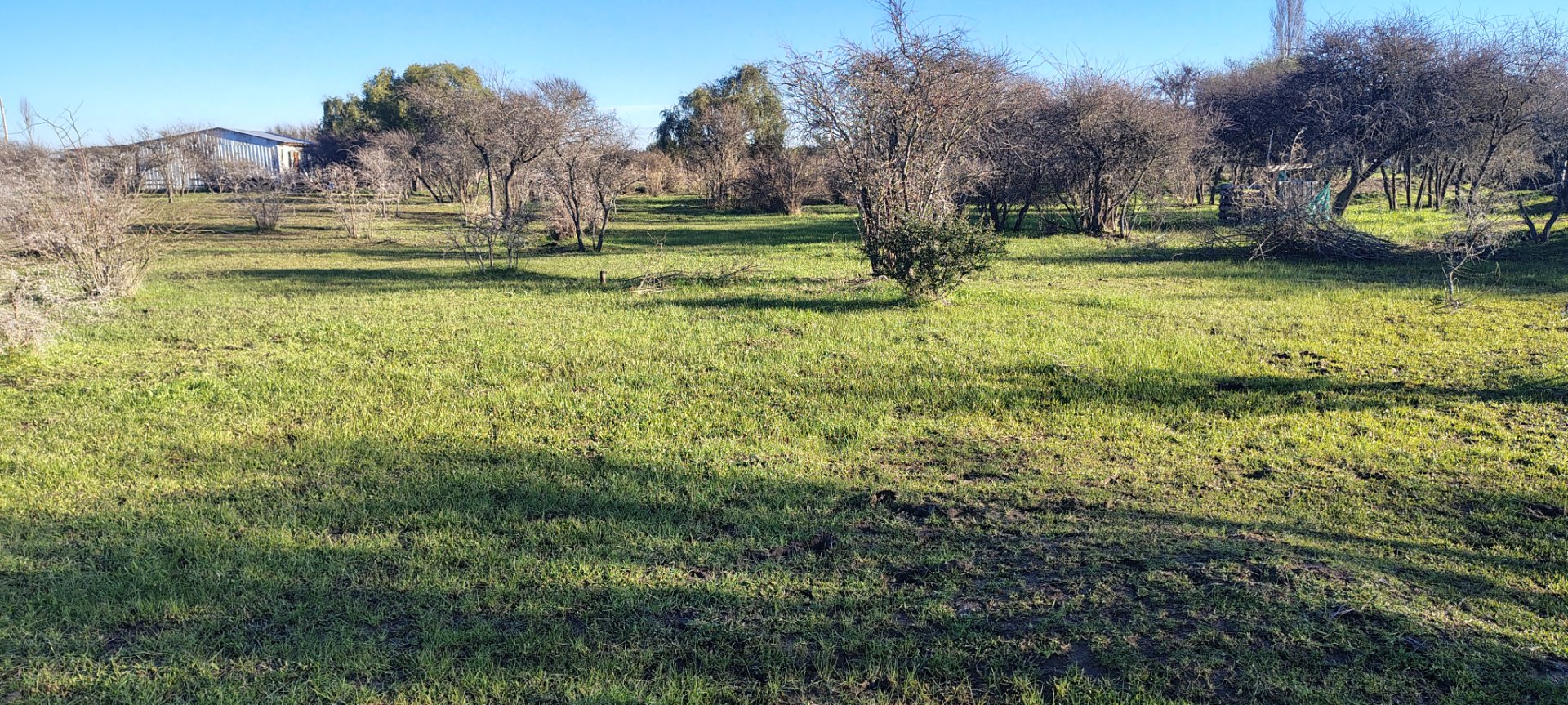 Terreno en venta en San Nicolás — foto 8