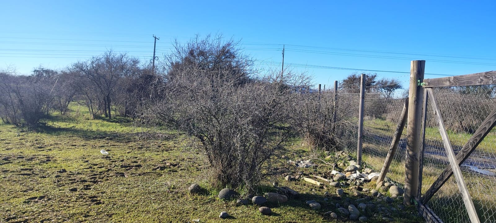 Terreno en venta en San Nicolás — foto 2