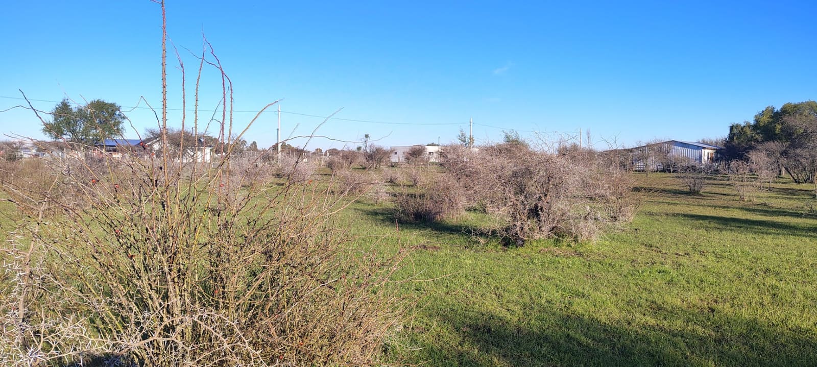 Terreno en venta en San Nicolás — foto 9
