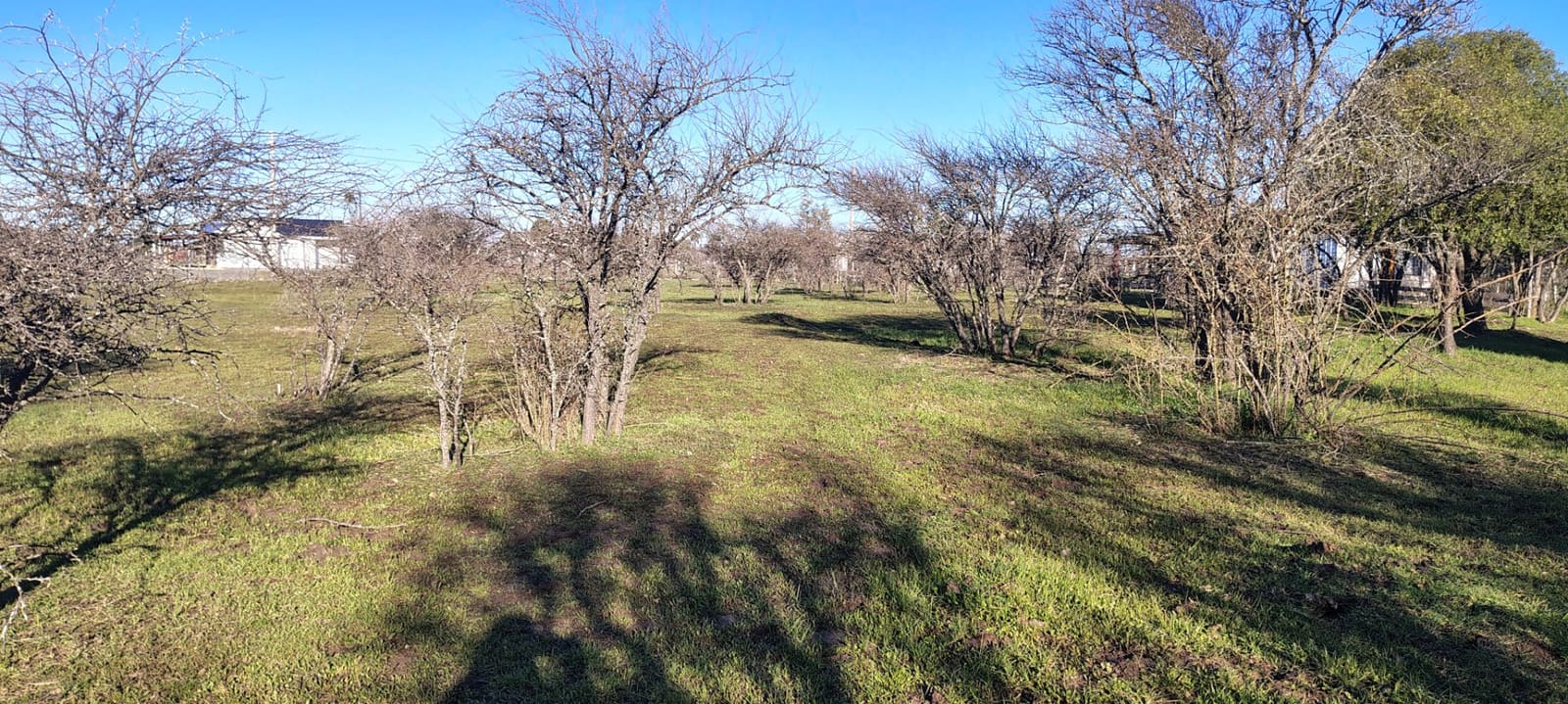 Terreno en venta en San Nicolás — foto 6