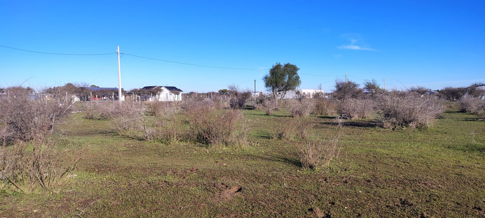 Terreno en venta en San Nicolás — foto 5