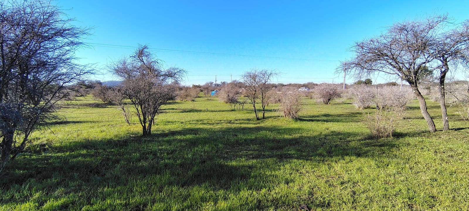 Terreno en venta en San Nicolás — foto 7