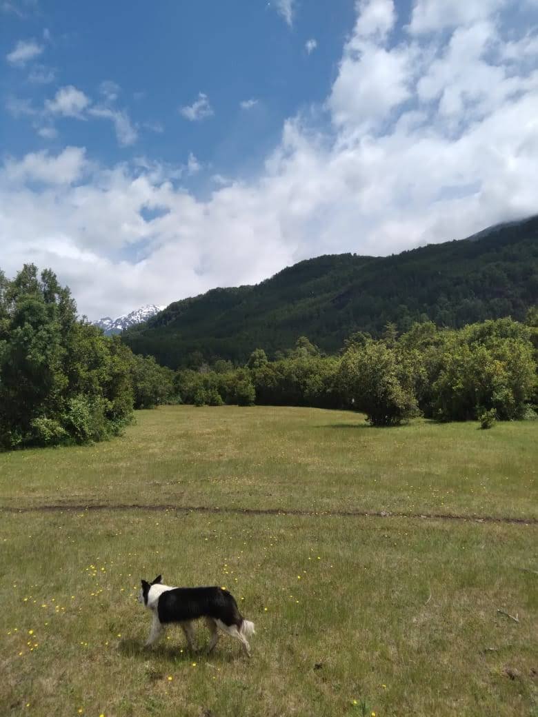 Terreno en venta en Cochamó — foto 2