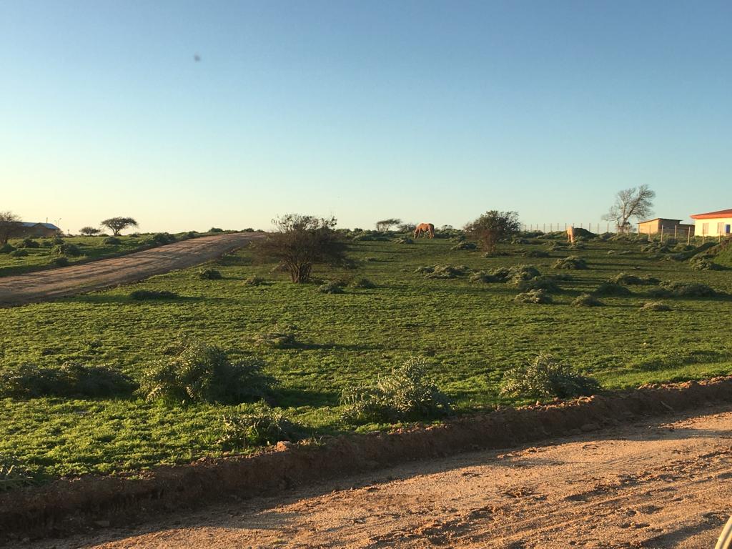 Parcela en venta en Santo Domingo — foto 3