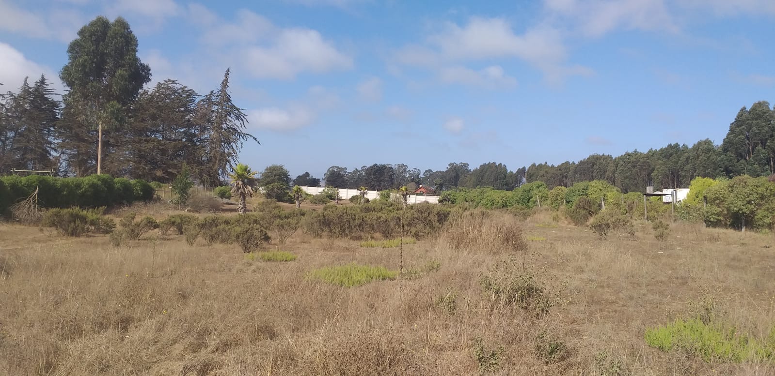 Terreno en venta en Santo Domingo — foto 2