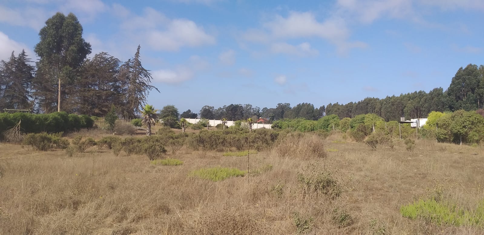 Terreno en venta en Santo Domingo — foto 3