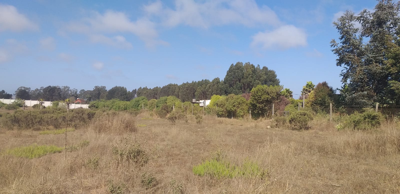 Terreno en venta en Santo Domingo — foto 5